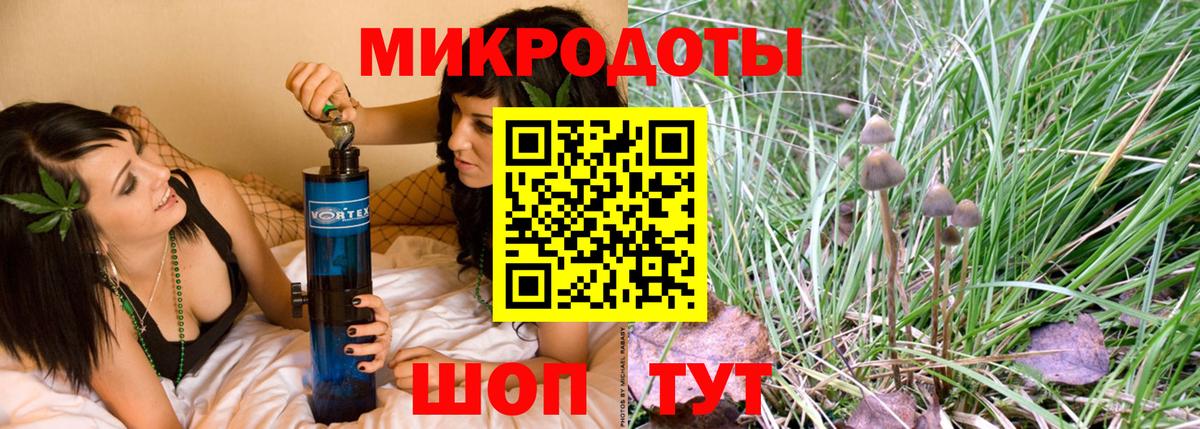 Галлюциногенные грибы прущие грибы Кандалакша