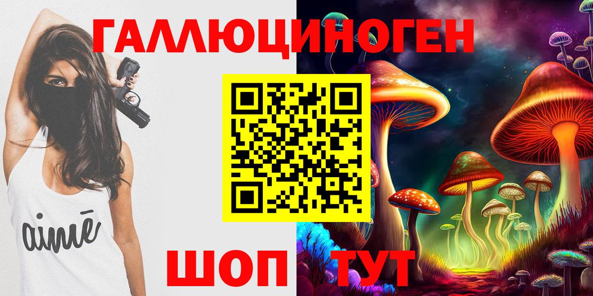 где купить наркоту  Псилоцибиновые грибы Cubensis  Псилоцибиновые грибы Cubensis  Вход с VPN  Кандалакша 
